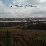 blurb a world of water book by me