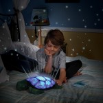 cloud b canada twilight sea turtle in boys room