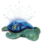 cloud b canada twilight sea turtle