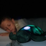 cloud b canada twilight sea turtle in room