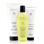 aloette cleanser and toner