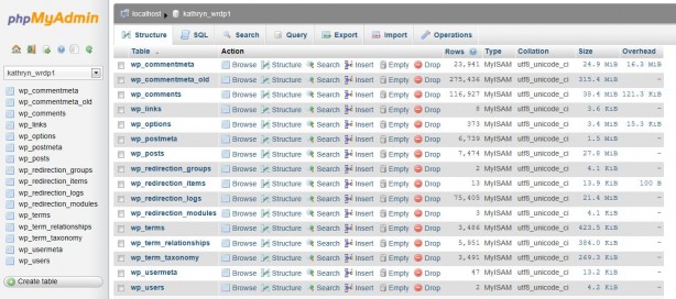 phpMyAdmin screen shot
