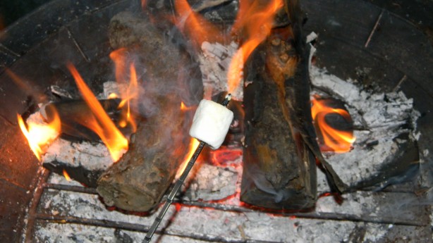 roasting marshmallow over fire