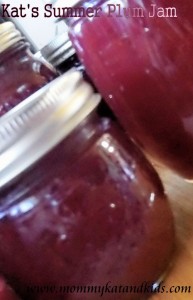 kat's summer plum jam