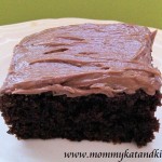 chocolate zucchini square