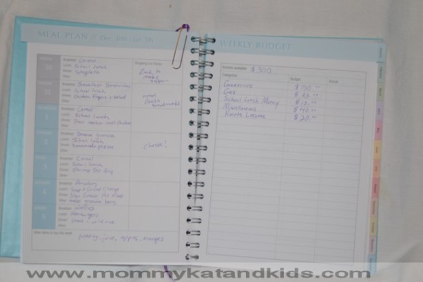 simply plan meal planning and budget pages