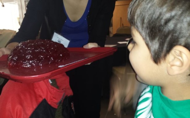 boy touching jello brain