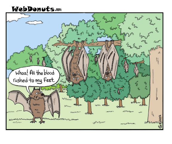 webdonuts bats cartoon mike gruhn
