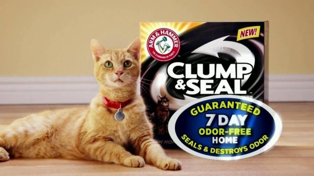 arm and hammer clump and seal cat litter