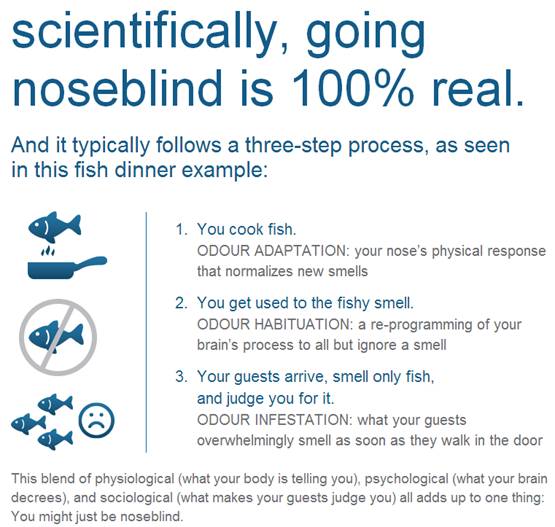 noseblind infographic