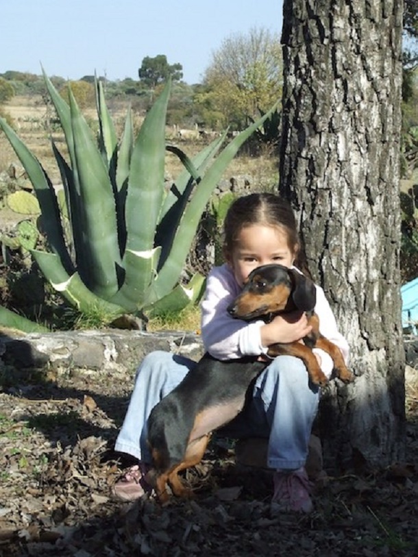 girl hugging a dog