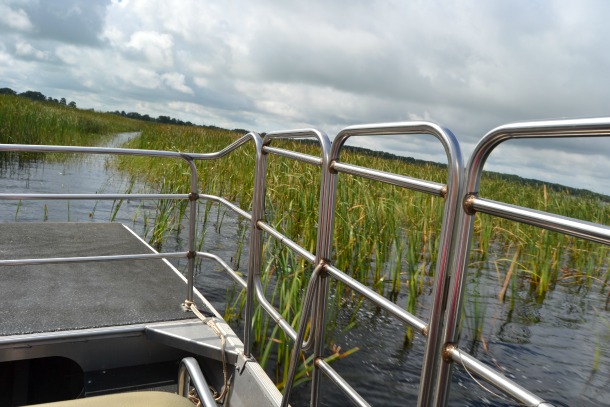 view from wild florida airboat