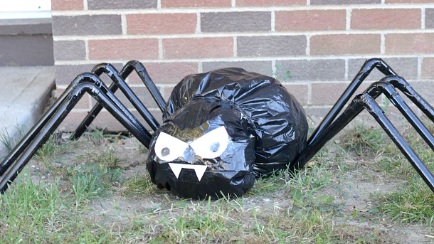 garbage bag spider