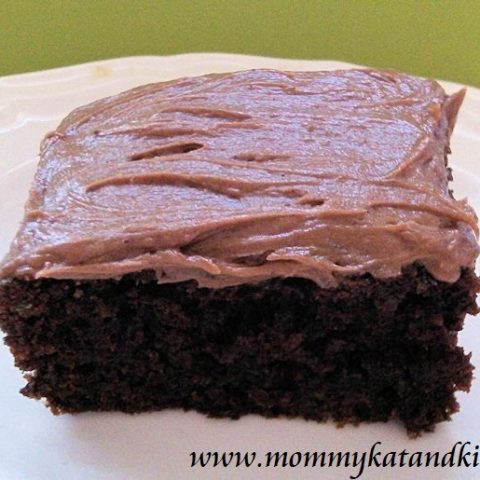 chocolate zucchini square