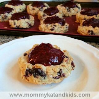 breakfast berry rolled oat rounds