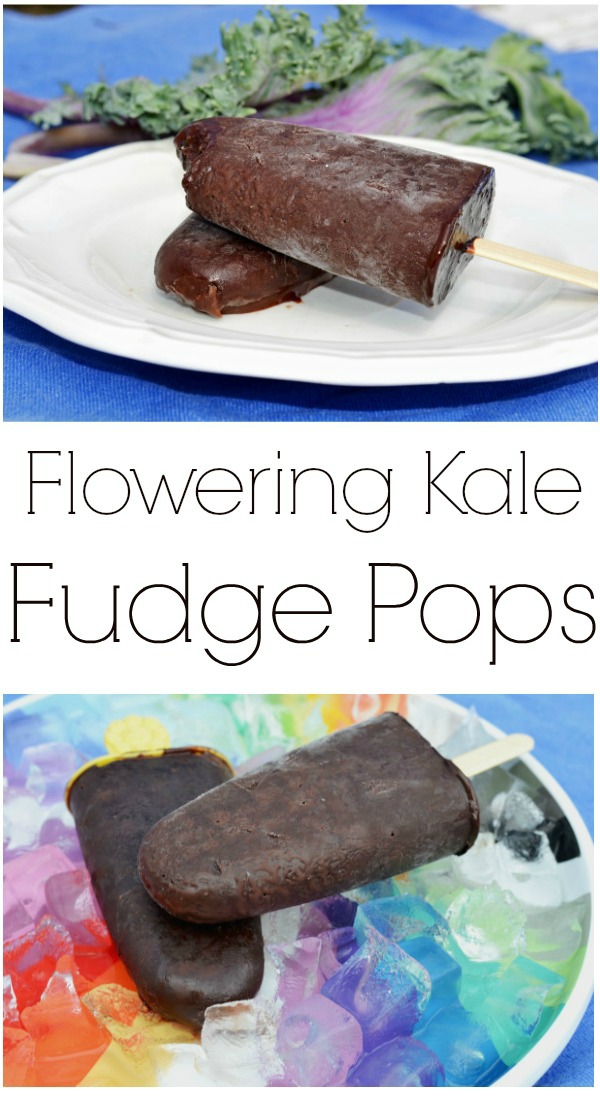 healthy kale fudge pops