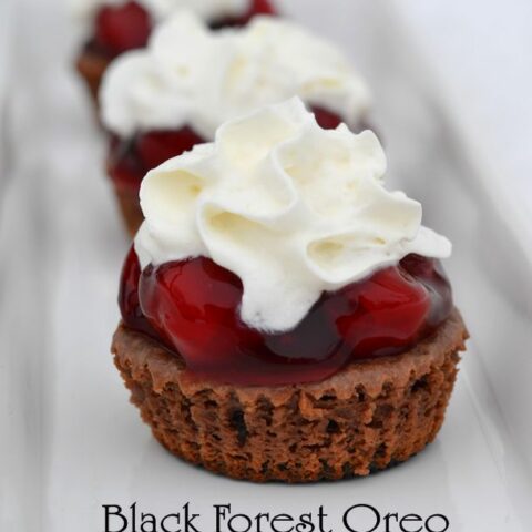 black forest oreo mini cheesecakes