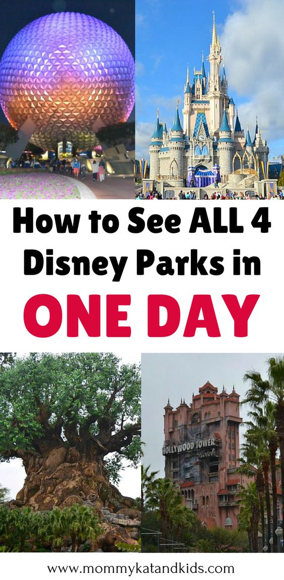 The Best Of Walt Disney World See 4 Parks wiith a 1 Day Park Hopper