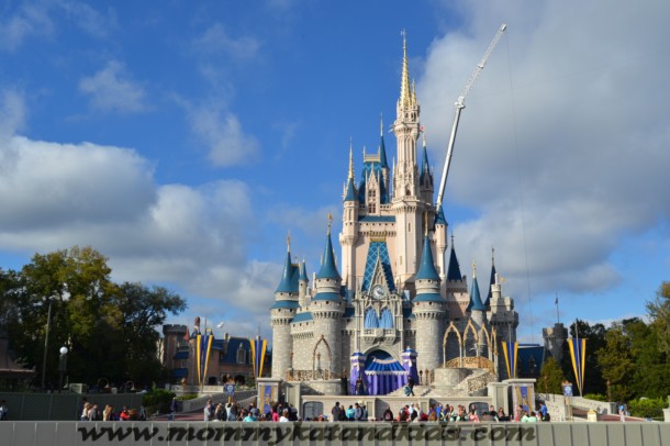 walt disney world magic kingdom