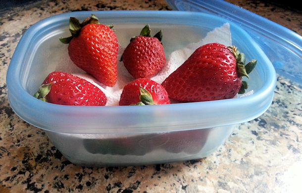 storing strawberries