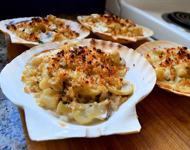 coquilles st. jacques