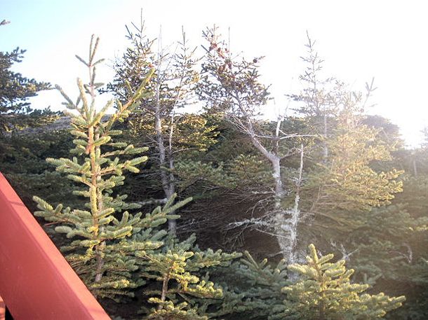 woods canada camping