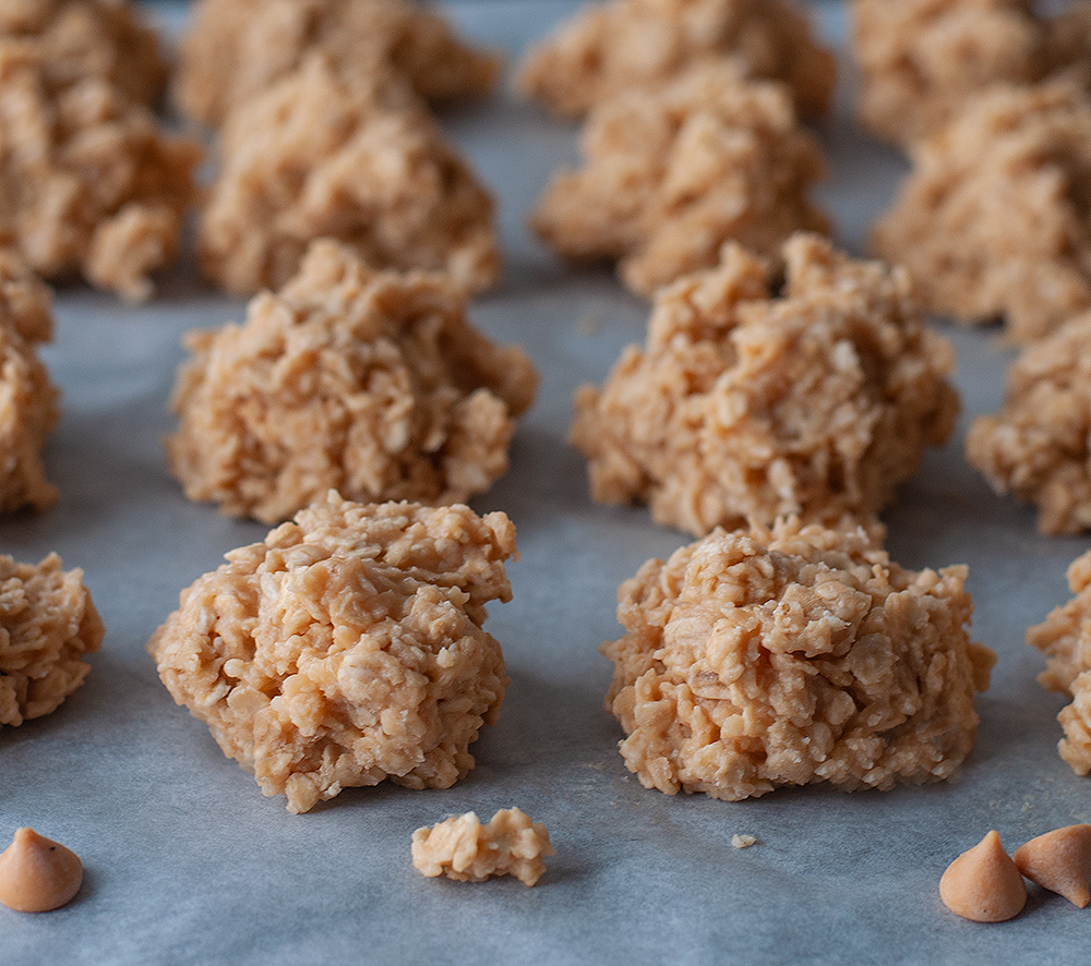 Foolproof No Bake Oatmeal Butterscotch Cookies Mommy Kat and Kids