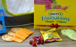 mott's fruitsations picky kid lunch ideas