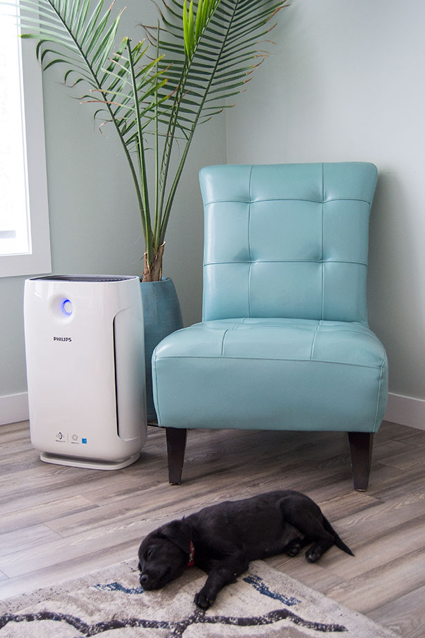 philips-purifier-by-chair