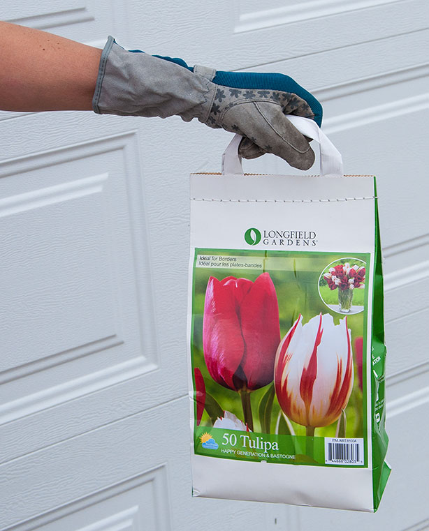 fall-tulip-bulbs-dig-it-gardening-gloves