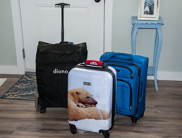 diono-with-luggage