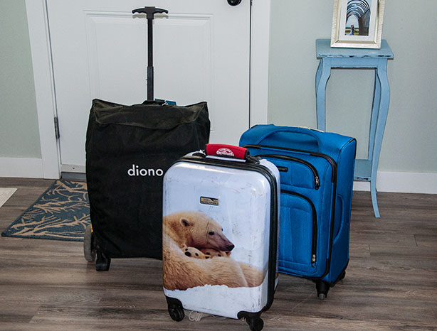 diono-with-luggage