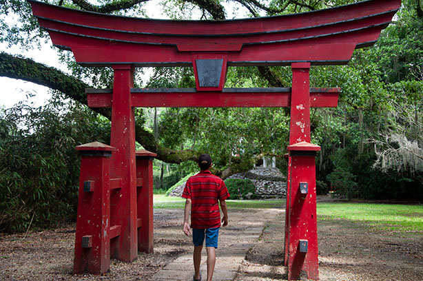 jungle-gardens-buddah-entrance