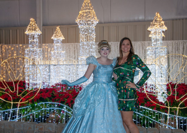 Shinesty christmas dresses sales