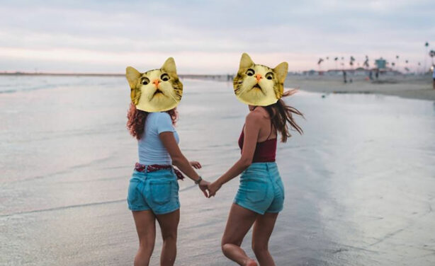 friends with cat faces