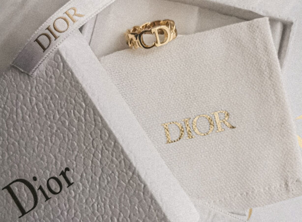 dior-logo-rings