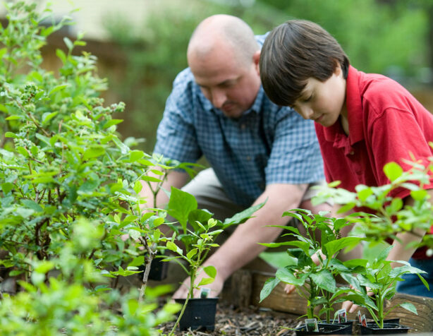 family-gardening