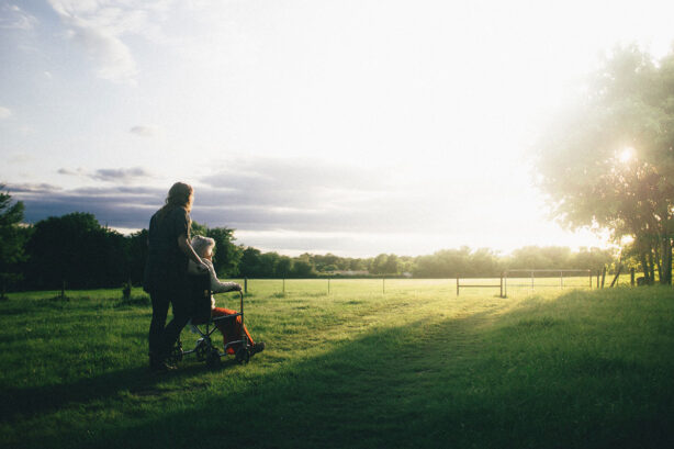 grandparent-in-field