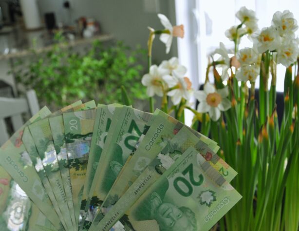 money and plants