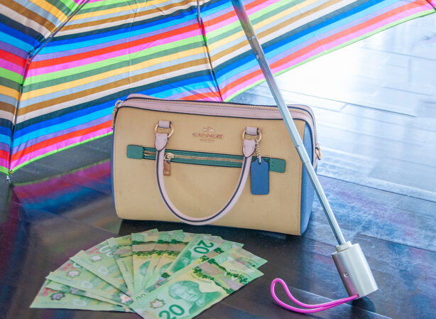 purse-umbrella-and-money