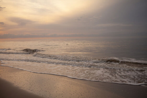 south-carolina-coast