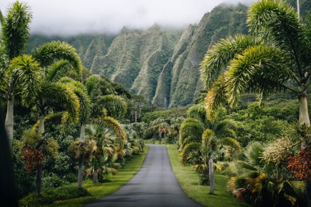 road in oahu hawaii