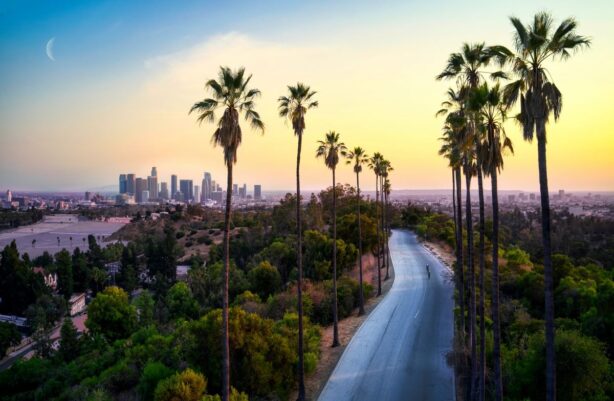 road leading to los angeles