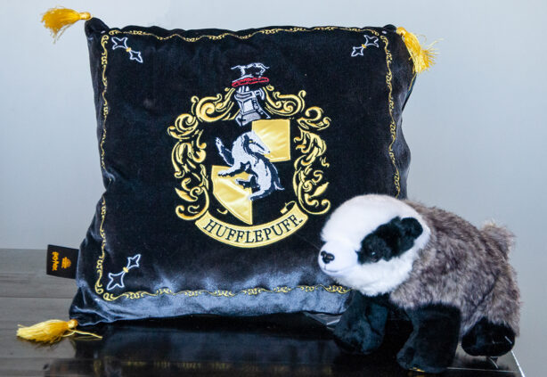 harry-potter-house-mascot-and-pillow