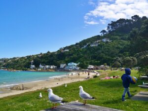 family-friendly beach in new zealand