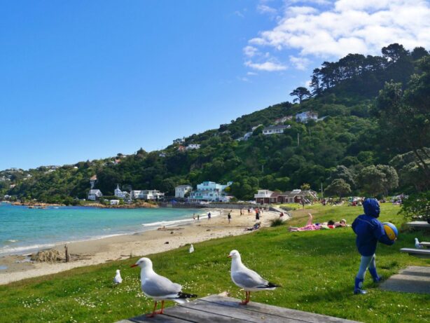 family-friendly beach in new zealand
