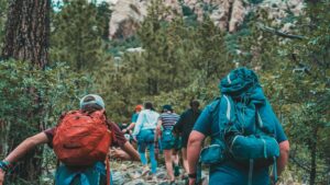 kids hiking at camp